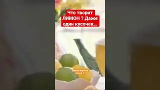 Что творит лимон?