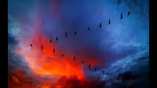 Журавли . Марк Бернес .