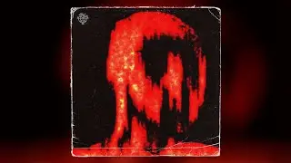 PLAYBOI CARTI SAMPLE PACK / LOOP KIT 