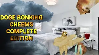 Doge Bonking Cheems Short Story || Doge Meme || Cheems Meme || Doge Bonk MeMe
