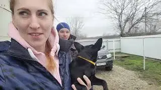 Дожились \ Приезжала терапевт что сделала