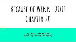 Because of Winn Dixie, Chapter 20