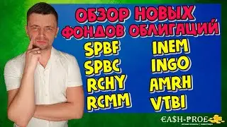 Обзор новых облигационных фондов SPBF, SPBC, RCHY, RCMM, INEM, INGO, AMRH