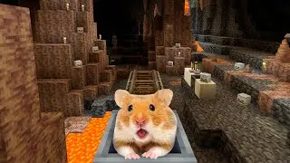 Hamster in 👽 UNDERGROUD MAZE in Minecraft😲