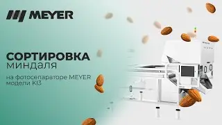 Сортировка миндаля на MEYER KI