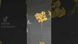 Raw gold stuck on minerals