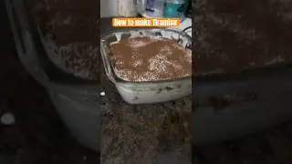 #tiramisu #tiramisurecipe #baking #cake #elvishyadav #elvisharmy #car #food #ytshorts #viral