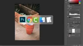 Advanced color  tone correction using Levels in Photoshop
