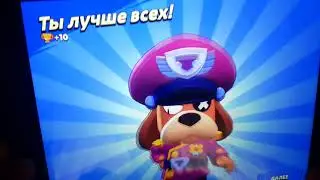 Выпал гавс чтоо