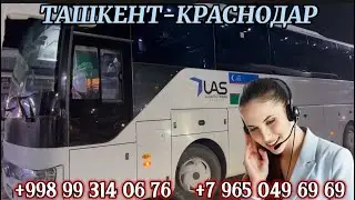 ташкент-краснодар автобус,toshkent-krasnodar avtobus tashkent-rostov Volgograd saratov avtobus