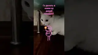 го?? 🏵🏵