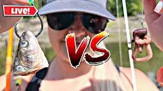 What River Bait Is Best?! - LIVE