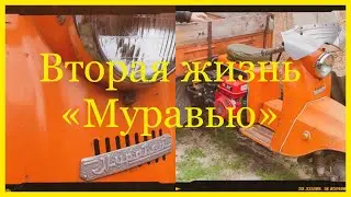 Дали вторую жизнь  «Муравью». Мотороллер «Муравей».
