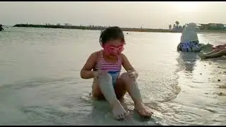 Beach, birds, and Bernice. Hudayriat Beach, Abu Dhabi.