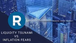 Economics: Inflation Fear vs Liquidity Tsunami | Richard Duncan