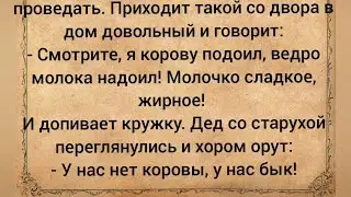 Я  корову подоил.- У нас нет коровы, у нас бык... Подборка лучших смешных анекдотов 2022