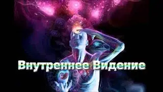 Внутреннее видение, альтернативное зрение, видение мозгом