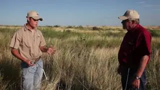 Nesting Ecology of Bobwhites