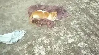 Go pro app Quik video sample Lite crash my 1st  video experience 😁 😍💕