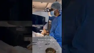 Envision a life without glasses! 