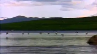 Lake WTF Boom