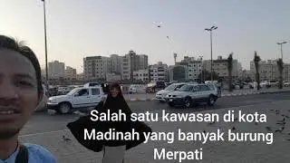 Madinah kota Merpati