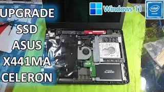 UPGRADE SSD ASUS VIVOBOOK X441MA INTEL CELERON - LAPTOP SEJUTA UMAT TERBARU 2024