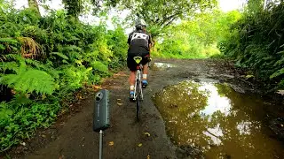 Daily Rides Quezon Dayride