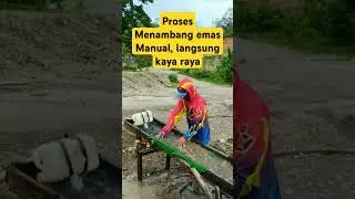 Proses menambang emas manual, #tambangemaspapua #tambangindo #tambangkaltim #tambangbatubarakalsel