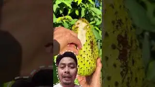 Ini buah apa telor naga ya? 😱 #fruit #reviewbuah #shorts