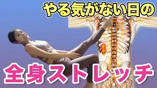 【ダラダラ過ごしたい日に】これだけやっておけばダイエット・姿勢改善・むくみ解消に！やる気がない日の全身ストレッチ