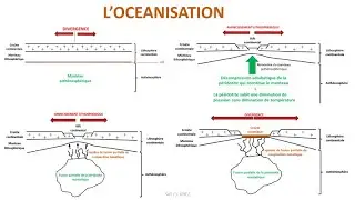Fabrication de la croûte océanique et océanisation