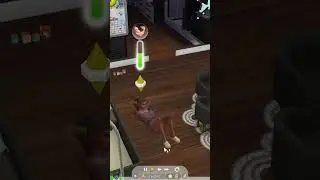 Не знаешь что делать? Качай пресс как Симс 4😂😂