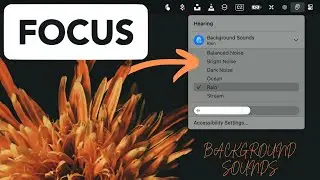 Focused on work? Don’t listen to MUSIC, use Mac Background Sounds instead 4K