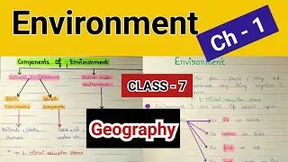 Environment class 7 | environment class 7 geography | class7 geography chapter 1 notes