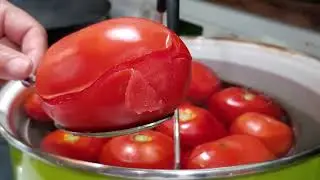 Canning the Basic Tomato