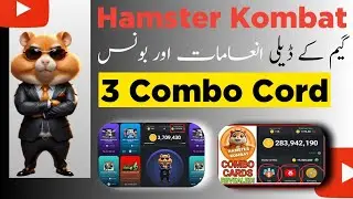 Hamster Kombat Daily Combo | Hamster Kombat Daily Combo Update | Reward
