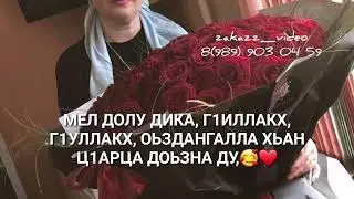 Нен-йиш декъал йойла ❤ озвучка