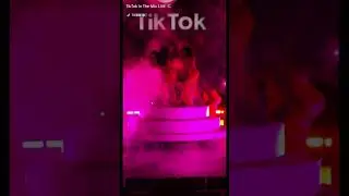 Cardi B live  TikTok