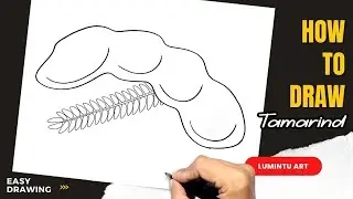 How to draw Tamarind - Easy Tamarind Drawing