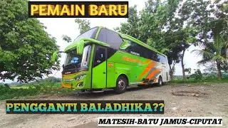 Pemain Baru Bus AKAP matesih-jakarta,pengganti Baladhika#busmania #mahardhika