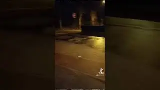 QUAND LE DOS D'ANE EST PLUS FORT QUE LE CARTER D'HUILE