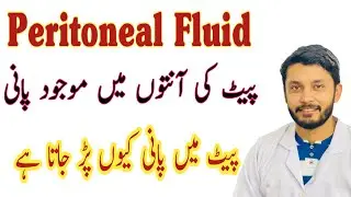 Peritoneal fluid