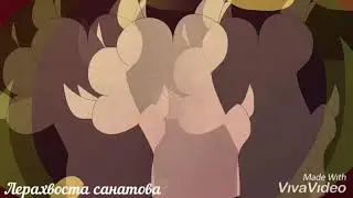 ||Коты воители||~клип~{Opinions}