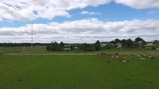 Сыр(6)