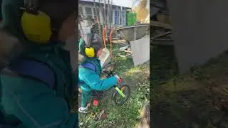 будни выживальщика