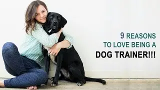9 Reasons To Love Being A Dog Trainer!