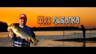Моя рыбалка. Ловля судака в низовьях Волги