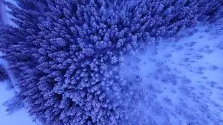 Rain That Dyes (Music Video)