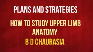 How to study upper limb anatomy II Best Strategy to Study Anatomy II